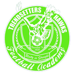 Trendsetter Hawks U17